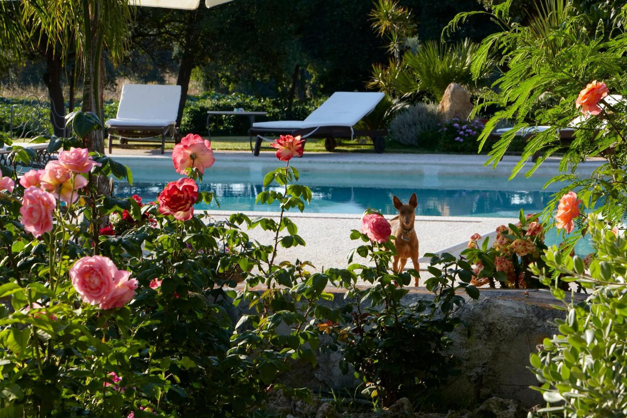 Baglio Sant'Andrea Bed & Breakfast Valderice Exterior photo